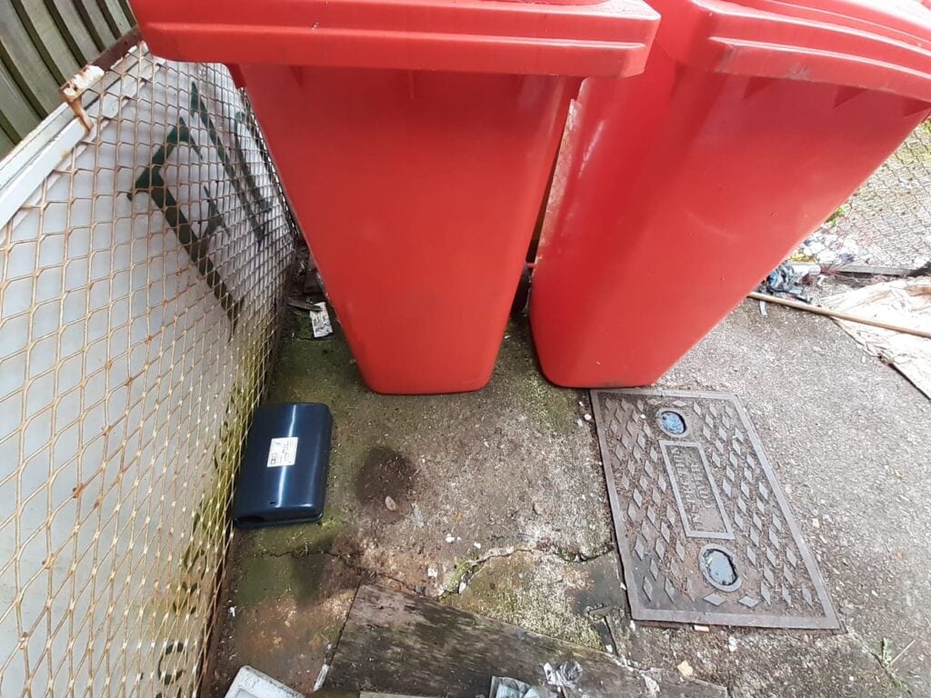 rats near bins
