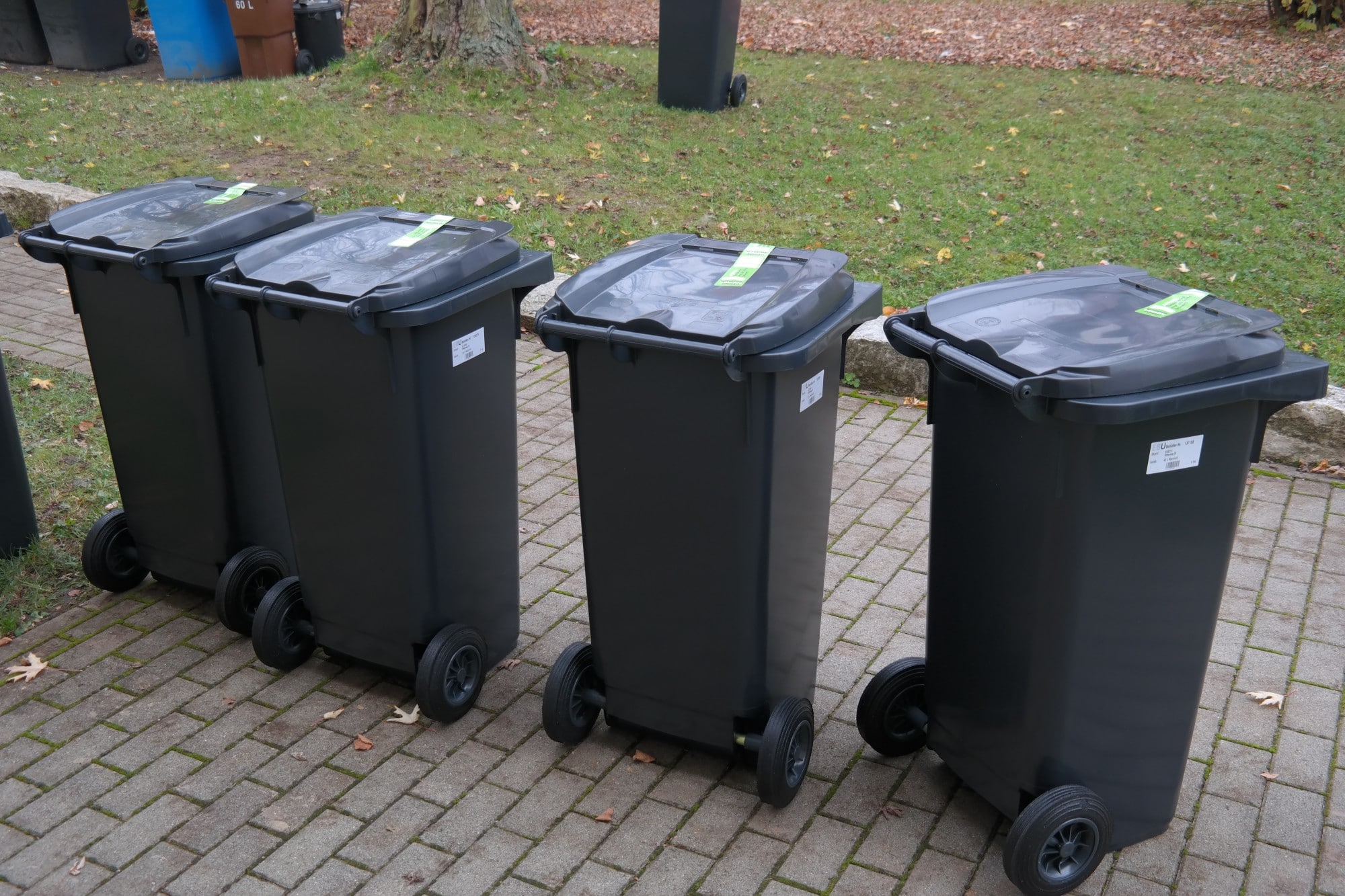 4 Factors To Consider When Choosing Commercial Bin Cleaners London